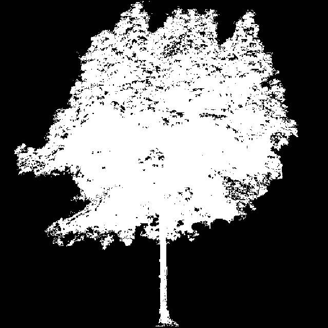 tree_127