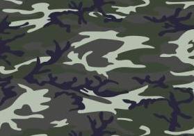 camouf_100