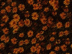 fabrics_1115