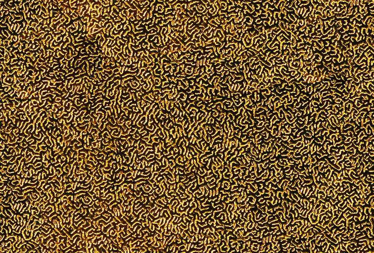 fabrics_331