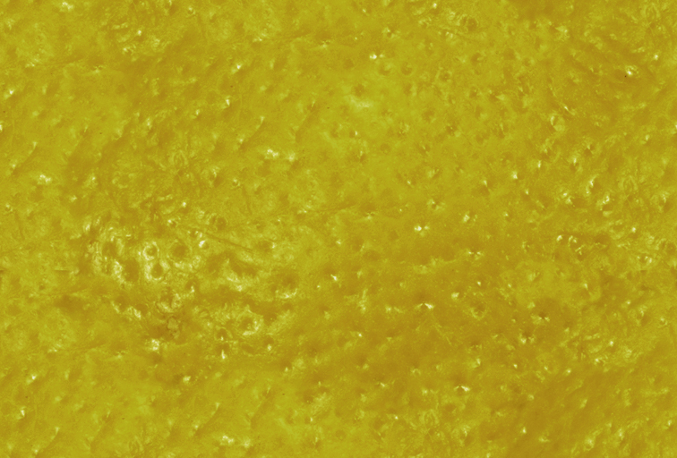 fabrics_368