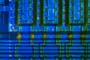 fabrics_1336