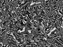 fabrics_196