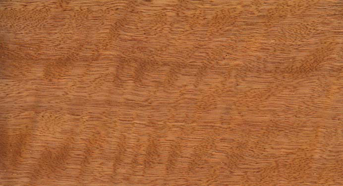 wood_588