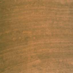wood_803