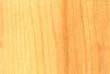 wood_253