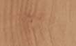 wood_339