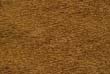 wood_551