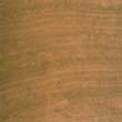 wood_803