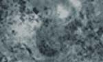 marble_351