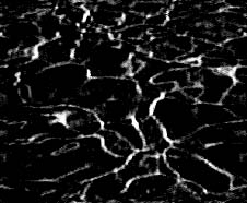 marble_523