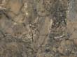 marble_238