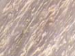 marble_468