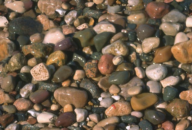 pebbles_46