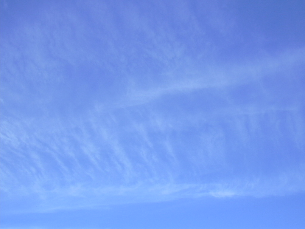 sky_201