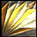 form_vetro_51