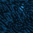 water_298