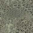 water_48